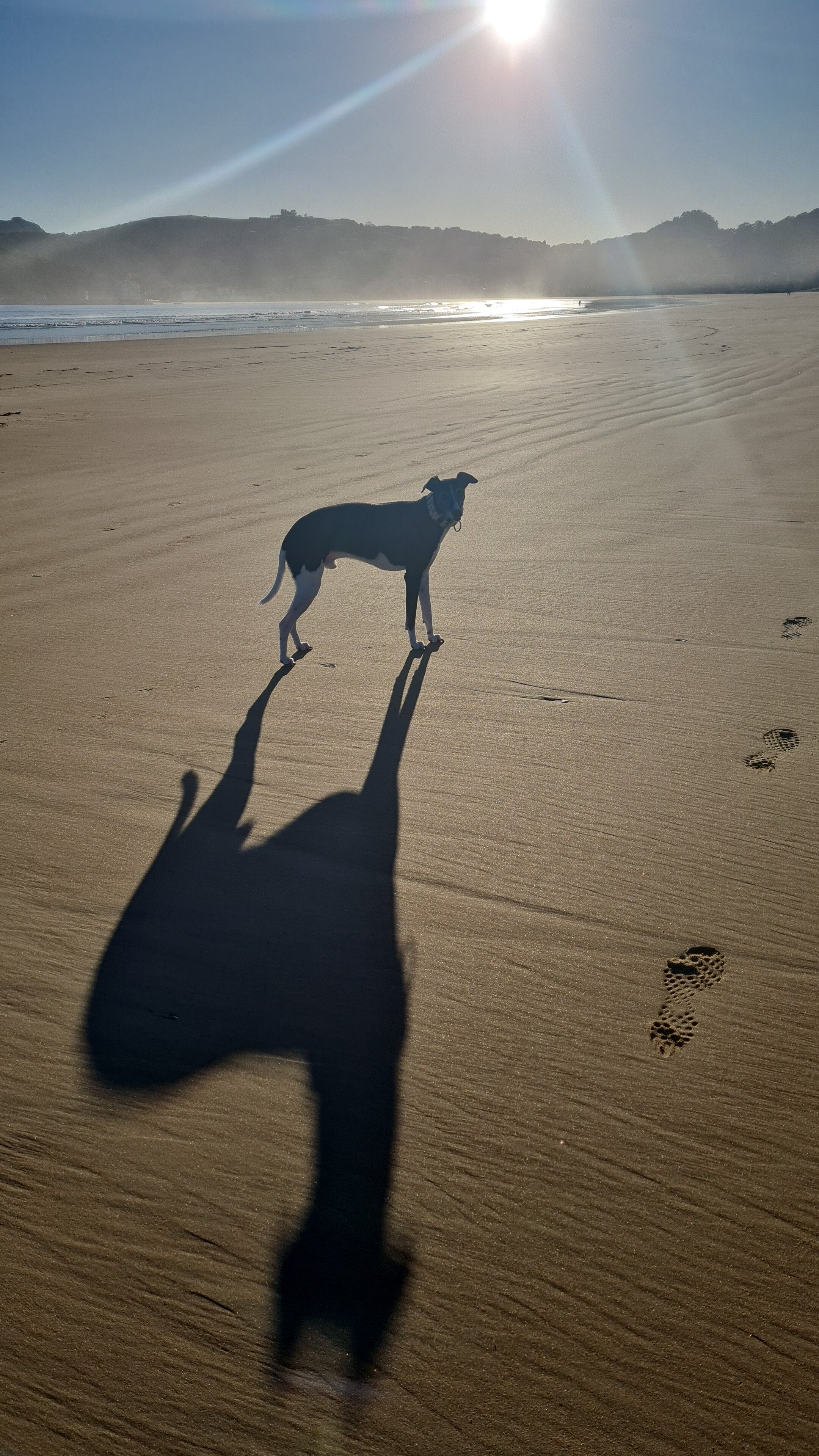 Obama al sol en la playa