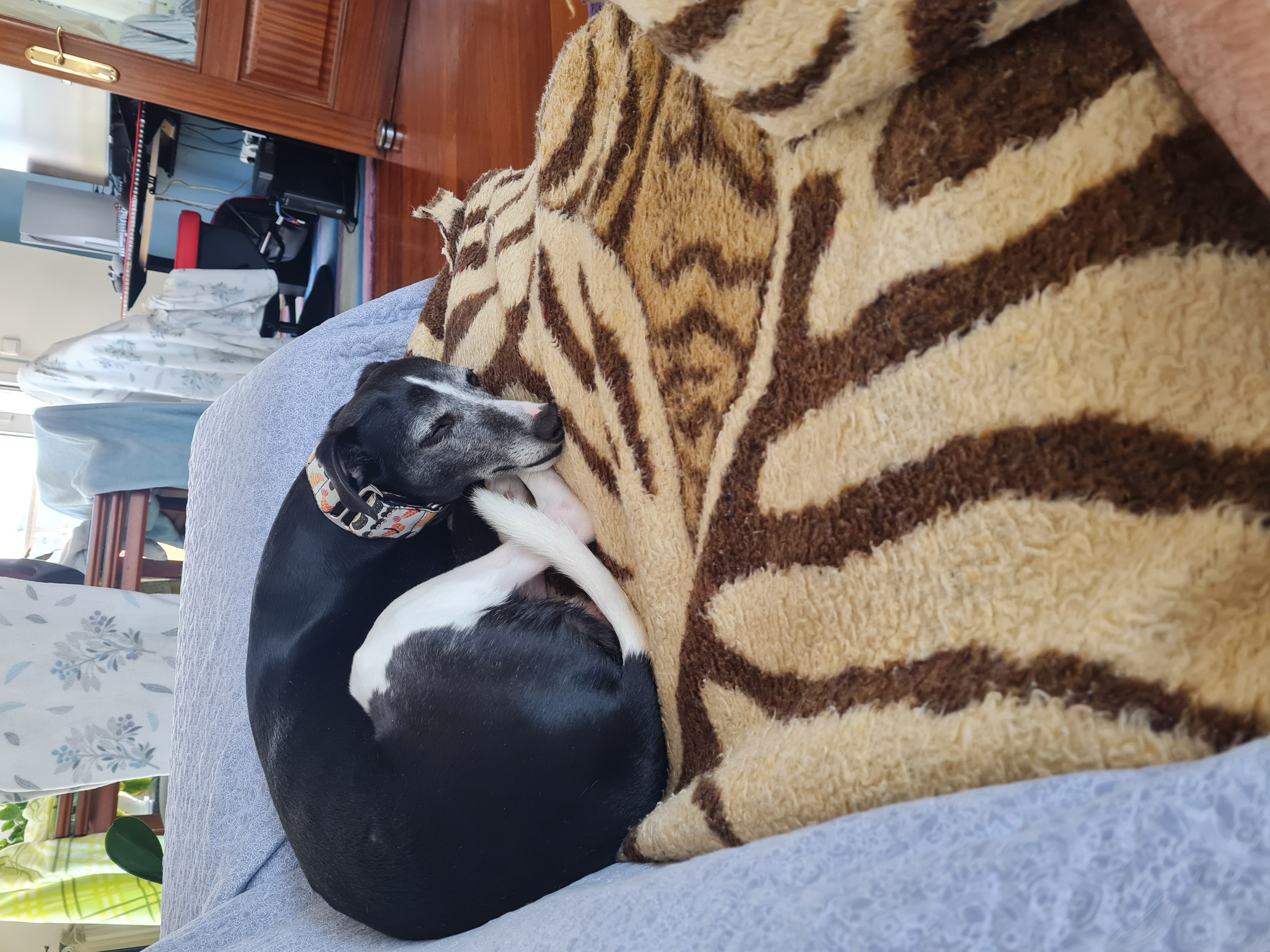 Obama durmiendo en el sofá